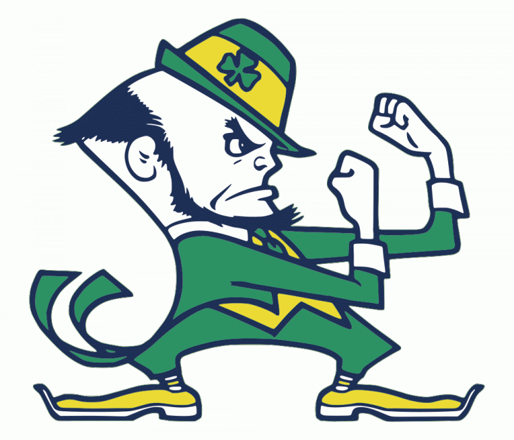 Notre Dame Fighting Irish 1984-Pres Alternate Logo t shirts iron on transfers